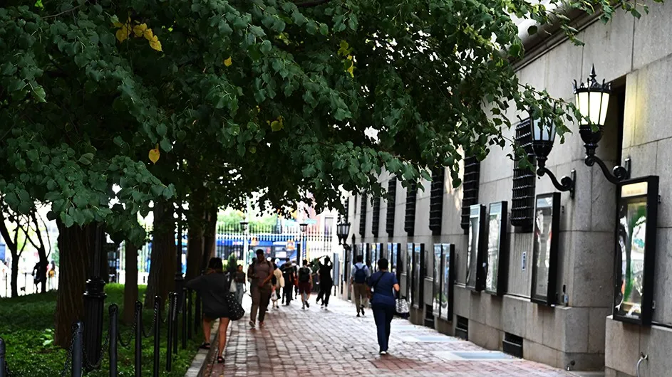 People walking on College Walk.