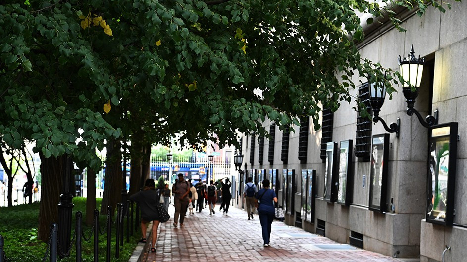 People walking on College Walk.