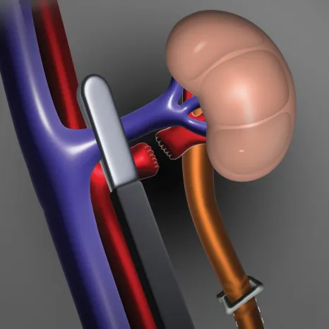 Scientific Illustration