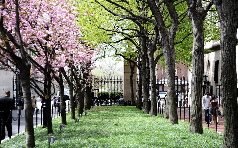 Columbia University College Walk