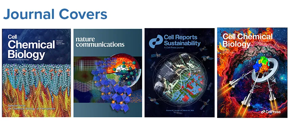 Four scientific journal covers featuring colorful, conceptual illustrations: a lipid membrane, a deep Earth lattice structure, a global sustainability system, and a molecular mechanism depicted with rockets and cellular imagery.