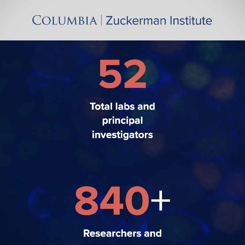 Zuckerman Annual Report Zuckerman Annual Report