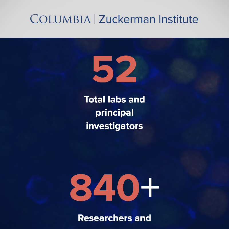 Zuckerman Annual Report