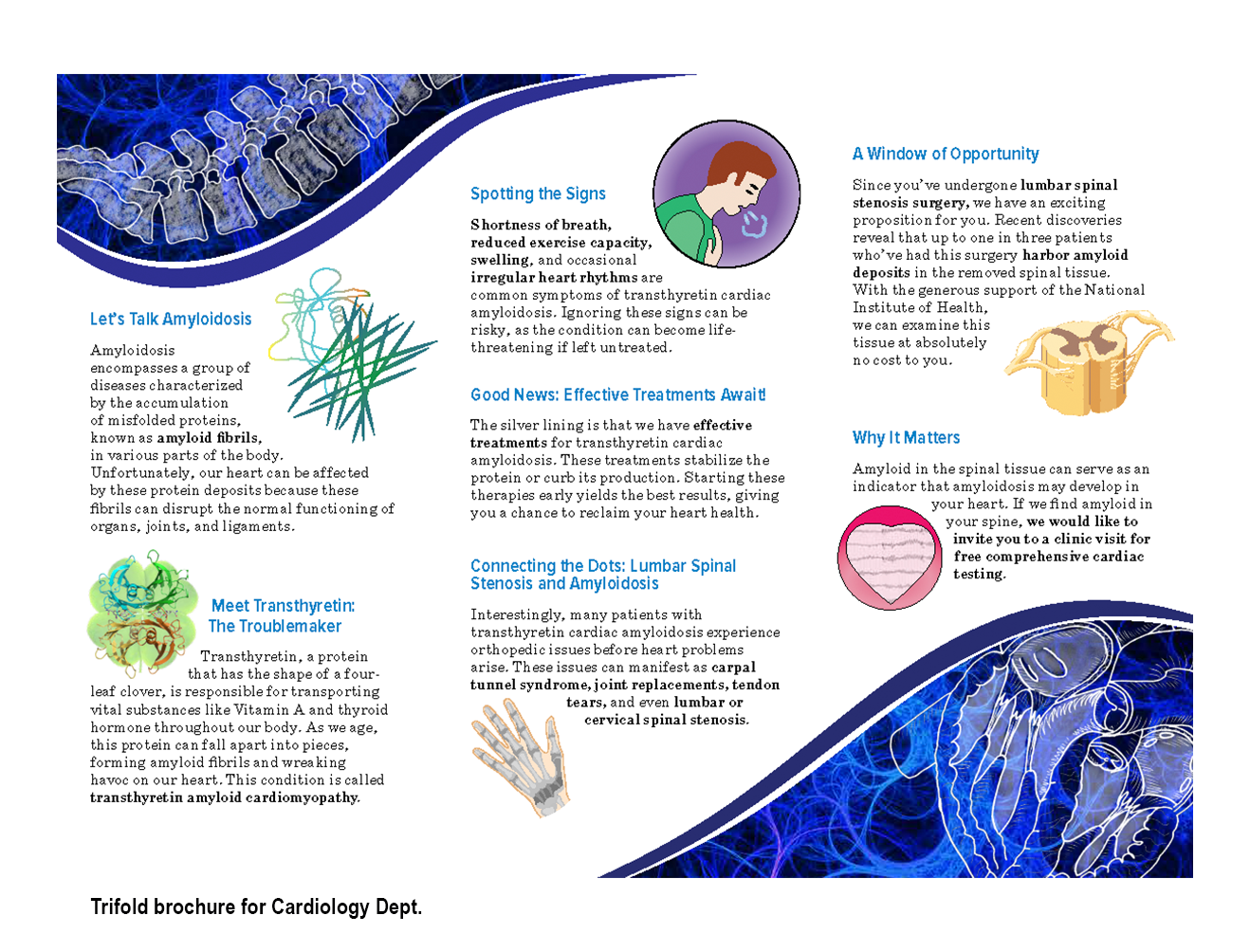 example of trifold brochure with graphics