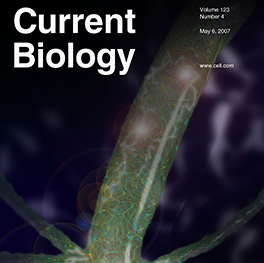 Current Biology Journal cover art Hydra Current Biology Journal