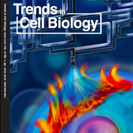 Cover of Trends in Cell Biology Journal. Cover of Trends in Cell Biology publication. Multi colored image of earth and natural gas